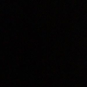 Meet your Posher, Elise